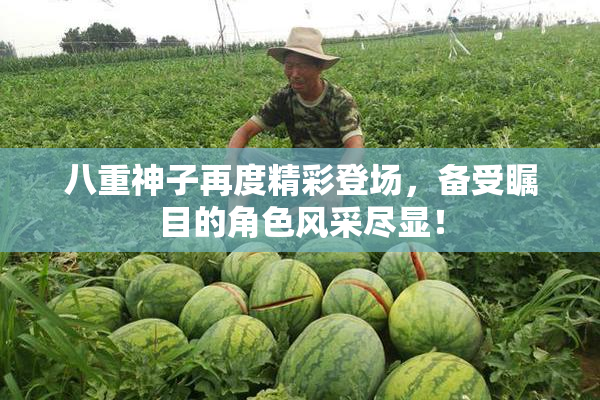 八重神子再度精彩登场，备受瞩目的角色风采尽显！