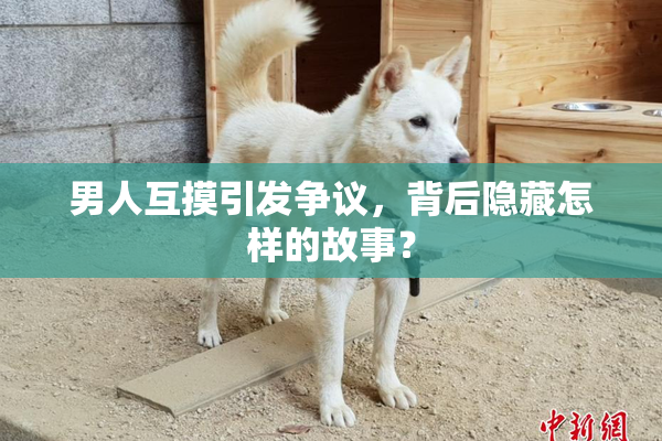 男人互摸引发争议，背后隐藏怎样的故事？