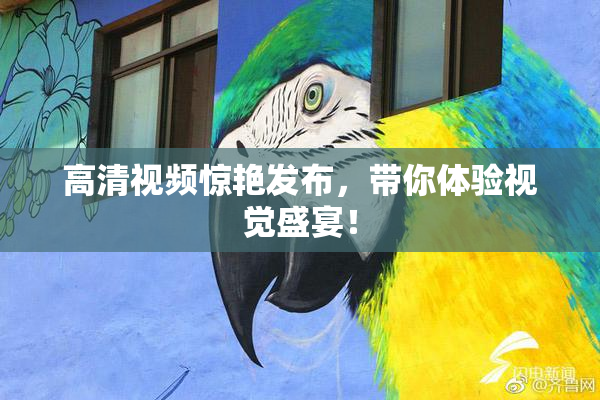高清视频惊艳发布，带你体验视觉盛宴！