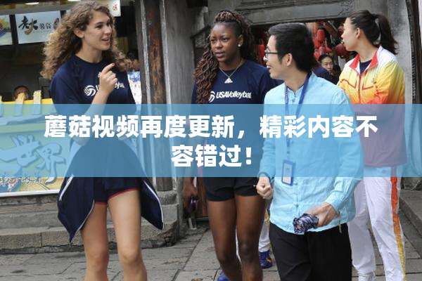 蘑菇视频再度更新，精彩内容不容错过！