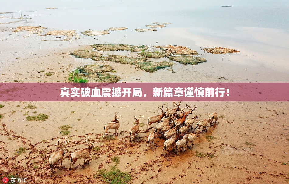 真实破血震撼开局，新篇章谨慎前行！