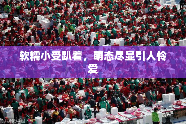 软糯小受趴着，萌态尽显引人怜爱