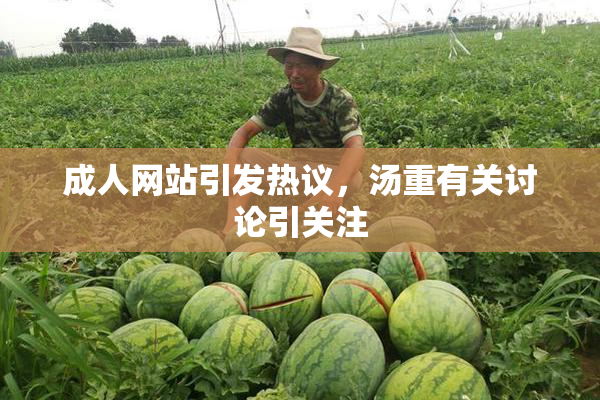 成人网站引发热议，汤重有关讨论引关注