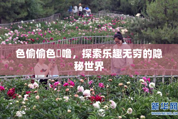 色偷偷色嚕噜，探索乐趣无穷的隐秘世界