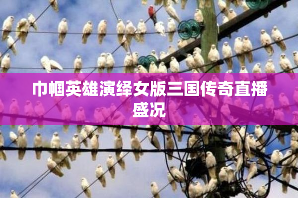 巾帼英雄演绎女版三国传奇直播盛况