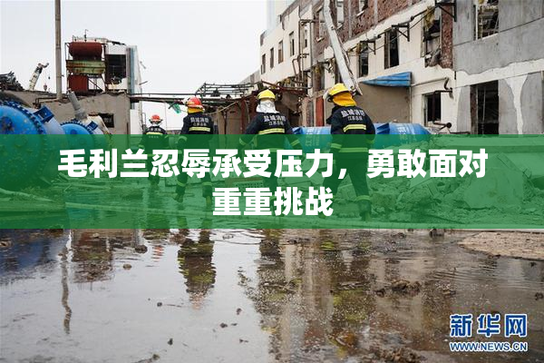 毛利兰忍辱承受压力，勇敢面对重重挑战