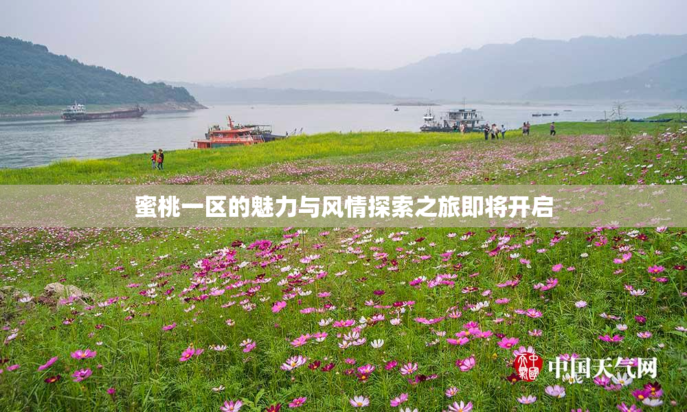 蜜桃一区的魅力与风情探索之旅即将开启