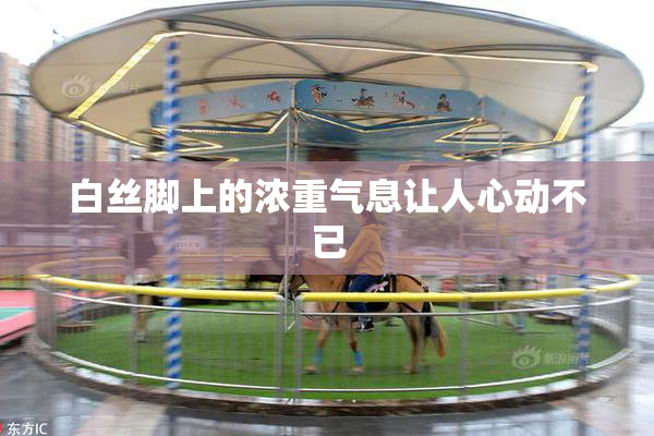 白丝脚上的浓重气息让人心动不已