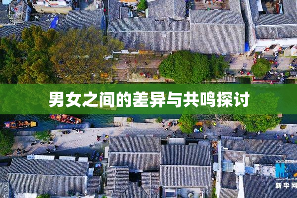男女之间的差异与共鸣探讨