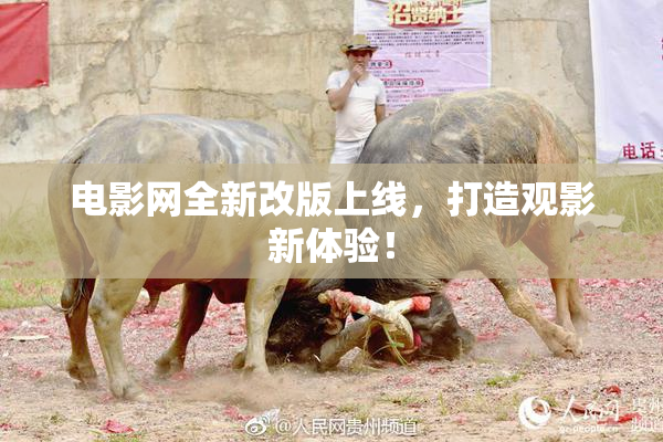 电影网全新改版上线，打造观影新体验！