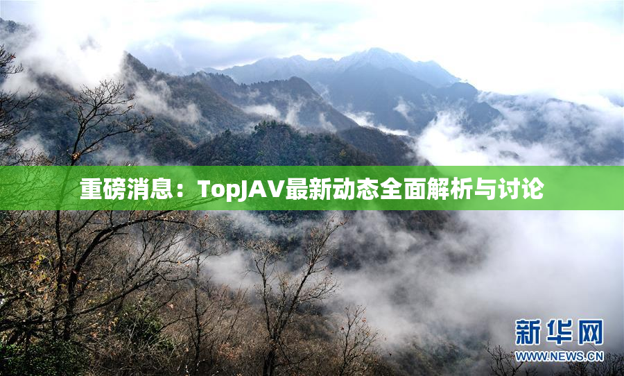 重磅消息：TopJAV最新动态全面解析与讨论