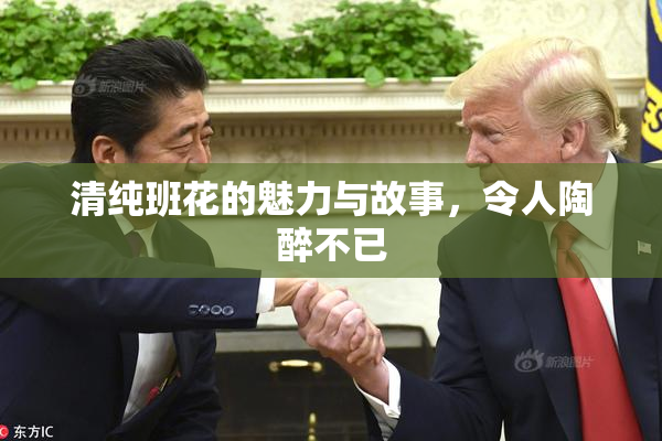 清纯班花的魅力与故事，令人陶醉不已