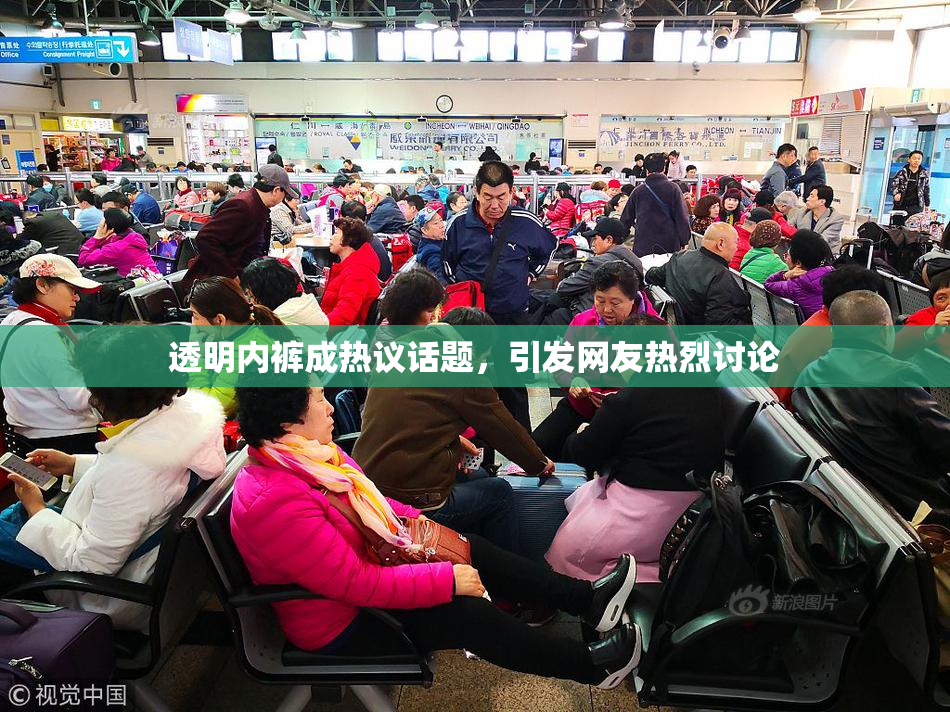 透明内裤成热议话题，引发网友热烈讨论