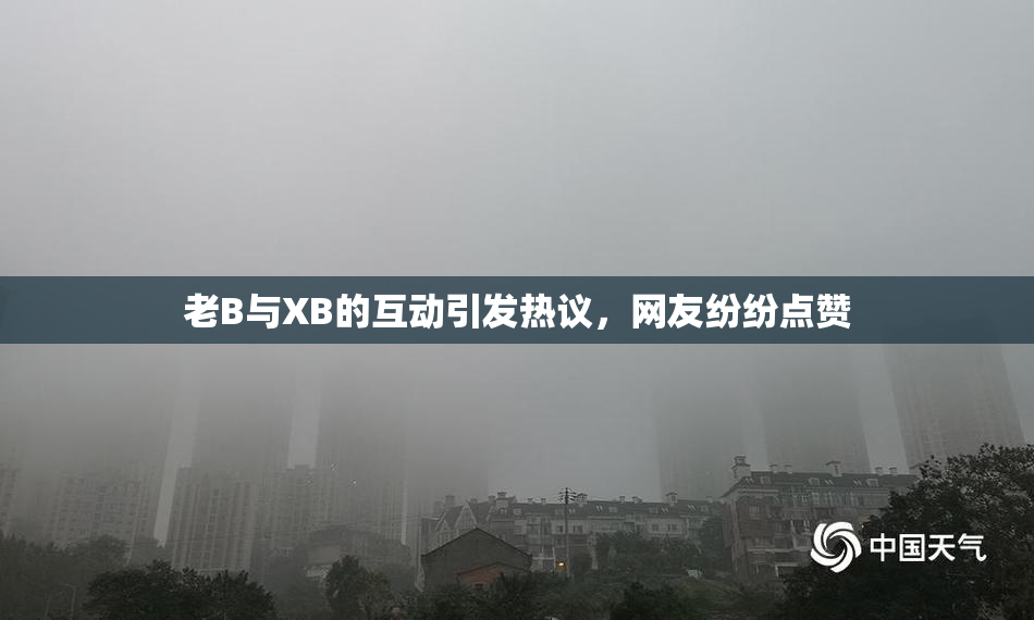老B与XB的互动引发热议，网友纷纷点赞