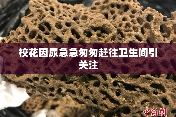 校花因尿急急匆匆赶往卫生间引关注