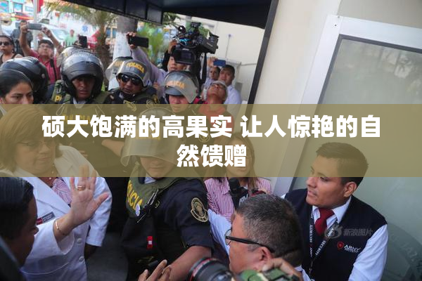硕大饱满的高果实 让人惊艳的自然馈赠