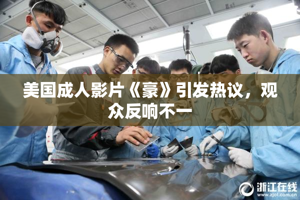 美国成人影片《豪》引发热议，观众反响不一