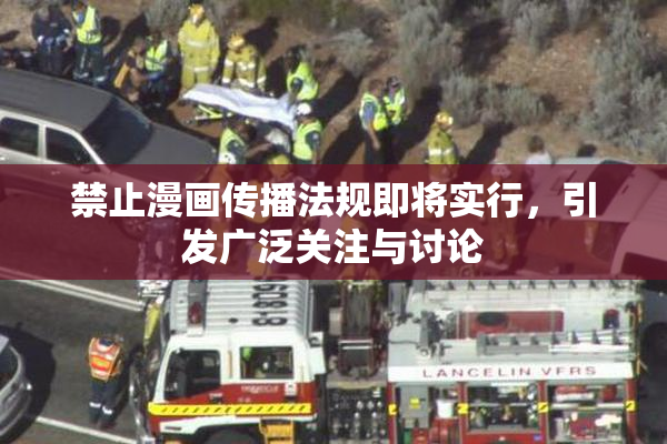 禁止漫画传播法规即将实行，引发广泛关注与讨论
