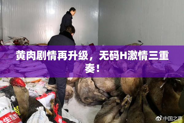 黄肉剧情再升级，无码H激情三重奏！