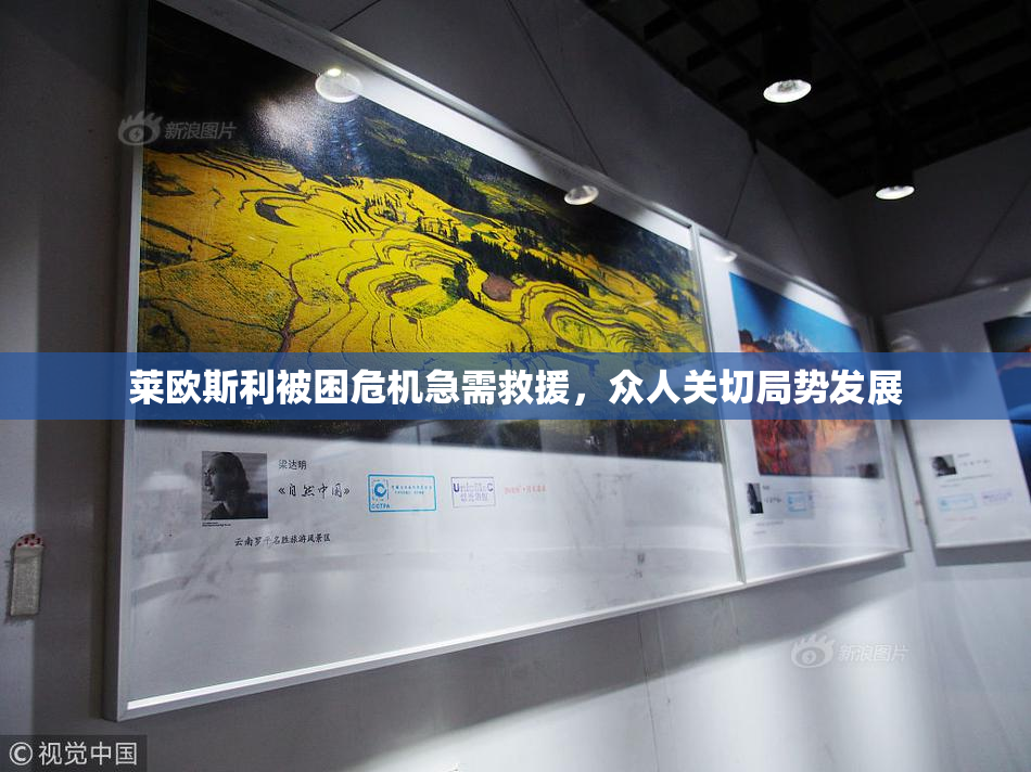 莱欧斯利被困危机急需救援，众人关切局势发展