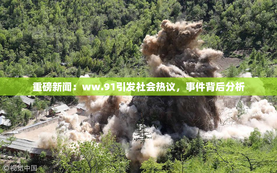 重磅新闻：ww.91引发社会热议，事件背后分析