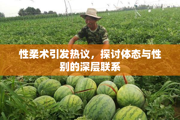 性柔术引发热议，探讨体态与性别的深层联系