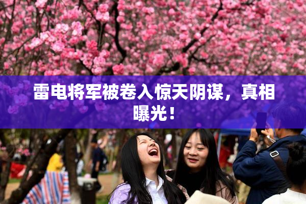 雷电将军被卷入惊天阴谋，真相曝光！