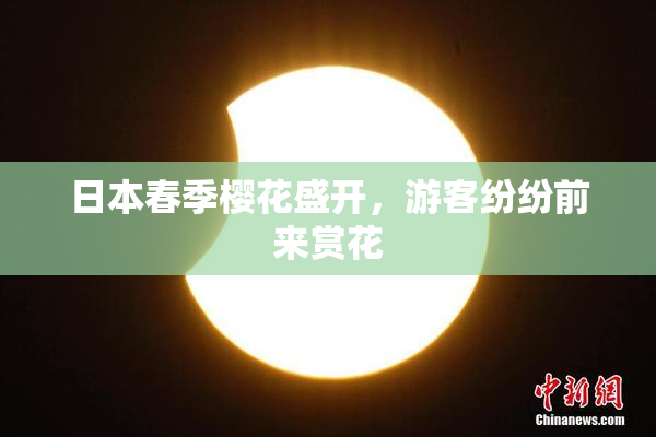 日本春季樱花盛开，游客纷纷前来赏花