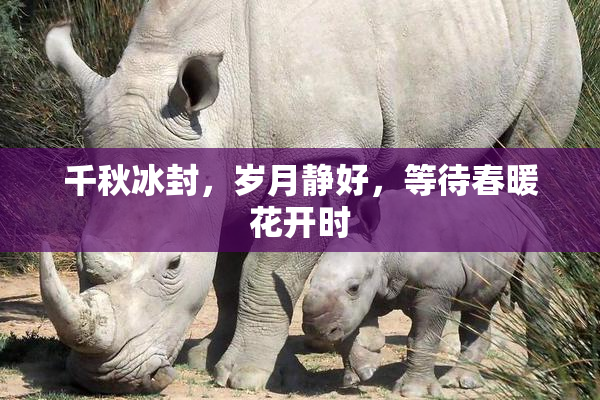 千秋冰封，岁月静好，等待春暖花开时