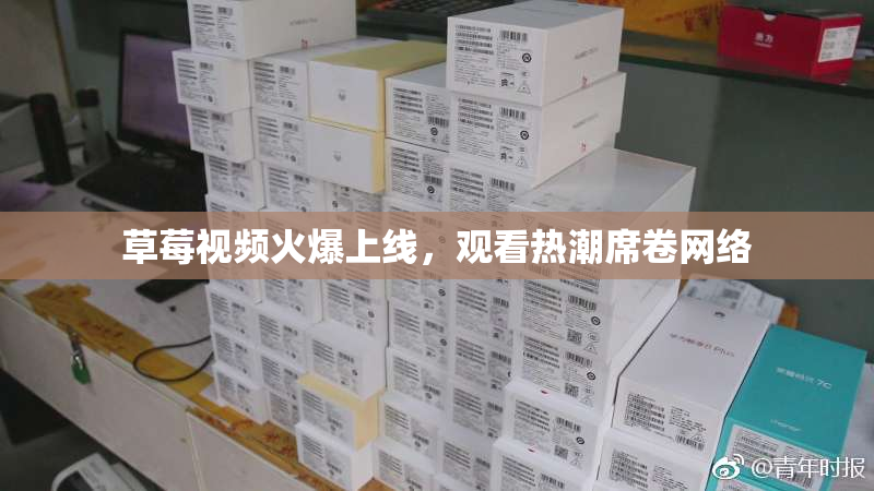 草莓视频火爆上线，观看热潮席卷网络