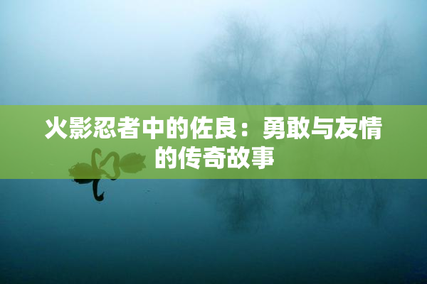 火影忍者中的佐良：勇敢与友情的传奇故事