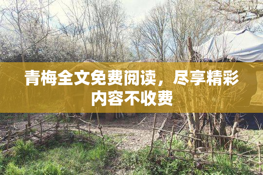 青梅全文免费阅读，尽享精彩内容不收费