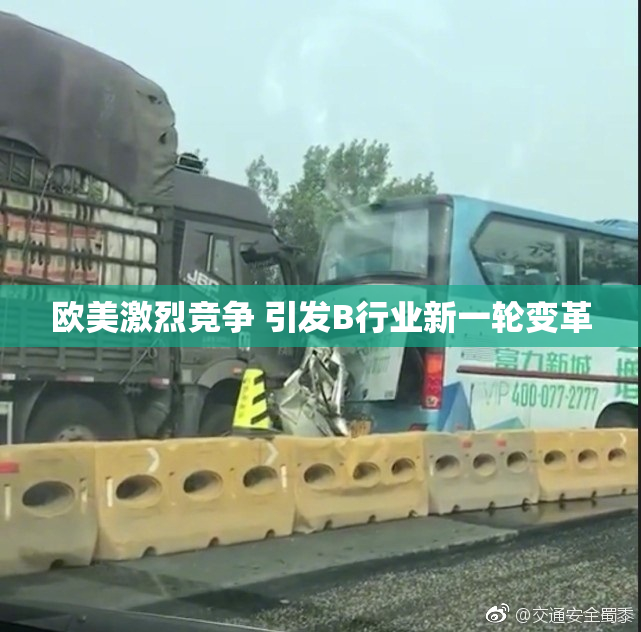 欧美激烈竞争 引发B行业新一轮变革