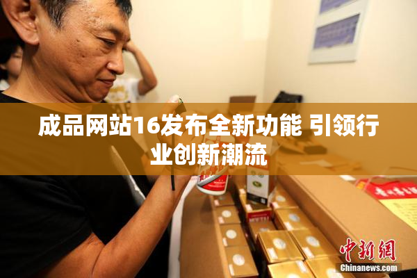 成品网站16发布全新功能 引领行业创新潮流
