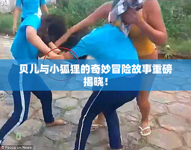 贝儿与小狐狸的奇妙冒险故事重磅揭晓！