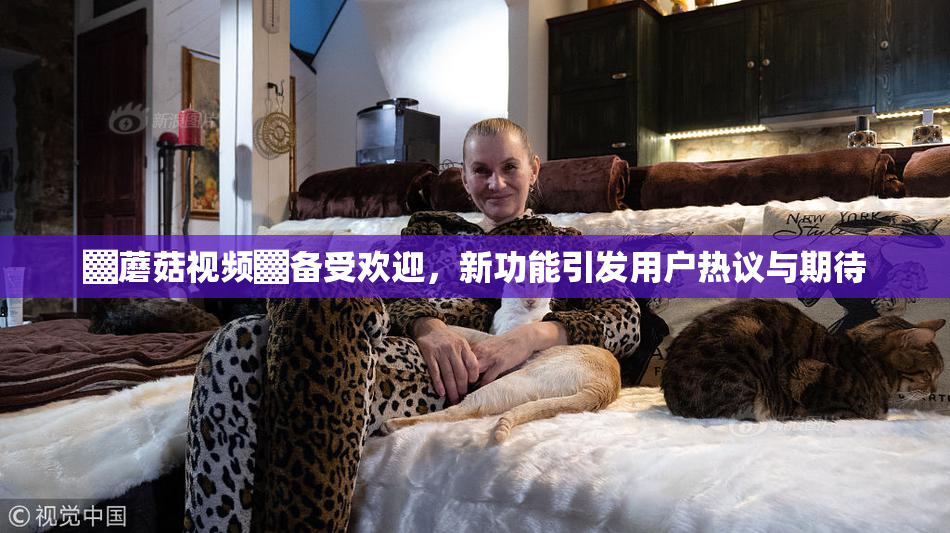 ▓蘑菇视频▓备受欢迎，新功能引发用户热议与期待