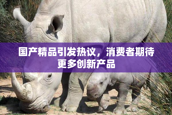 国产精品引发热议，消费者期待更多创新产品