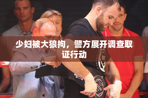 少妇被大狼拘，警方展开调查取证行动