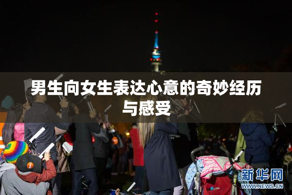 男生向女生表达心意的奇妙经历与感受