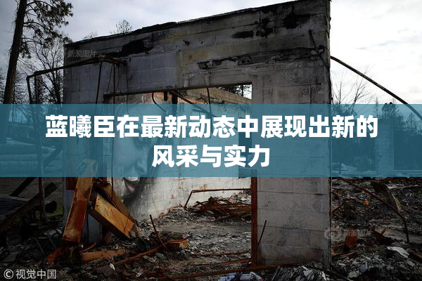 蓝曦臣在最新动态中展现出新的风采与实力
