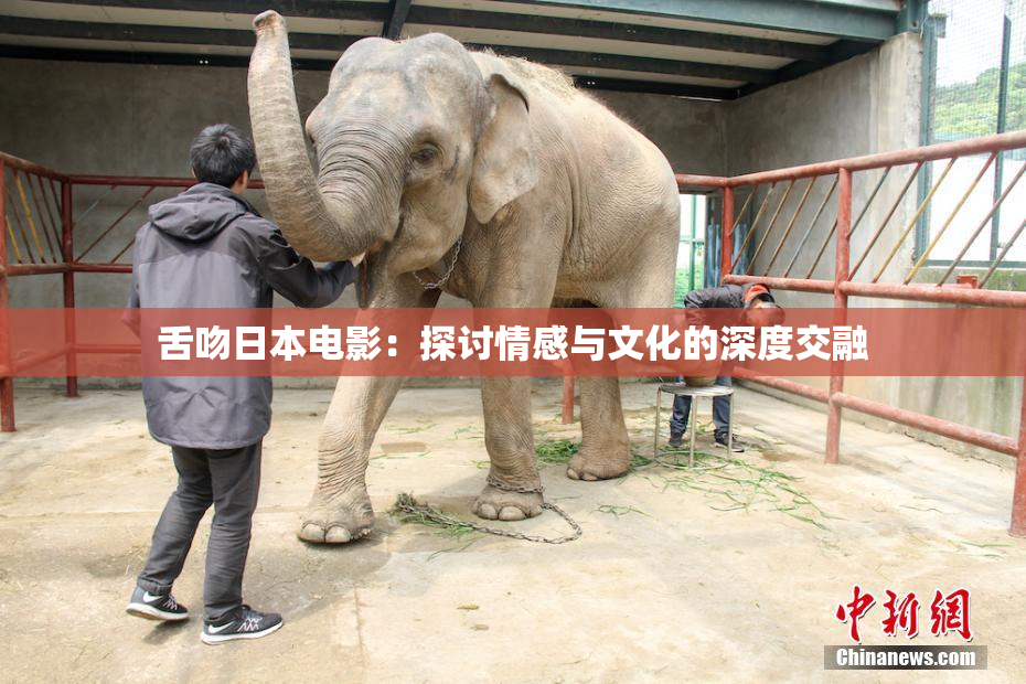 舌吻日本电影：探讨情感与文化的深度交融