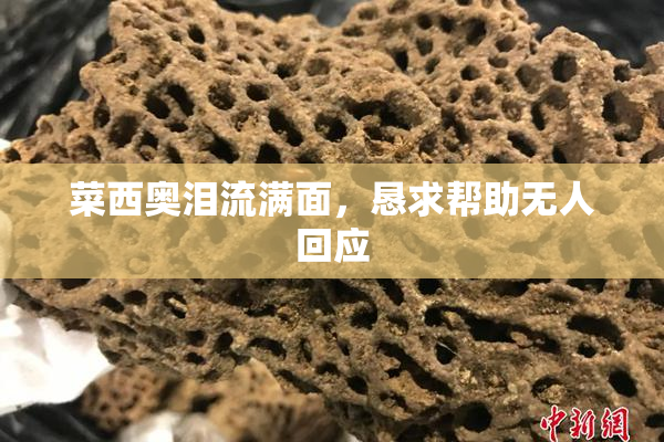 菜西奥泪流满面，恳求帮助无人回应