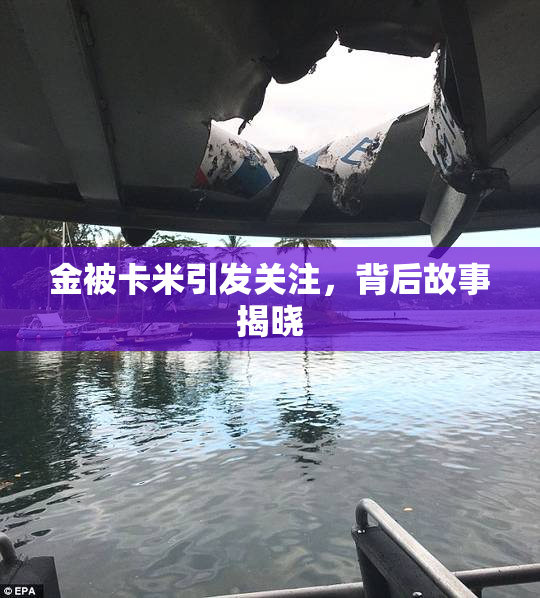 金被卡米引发关注，背后故事揭晓