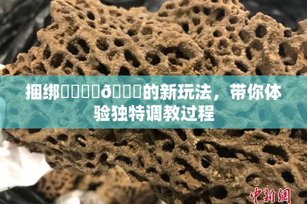 捆绑❌‌❌‌🔞的新玩法，带你体验独特调教过程