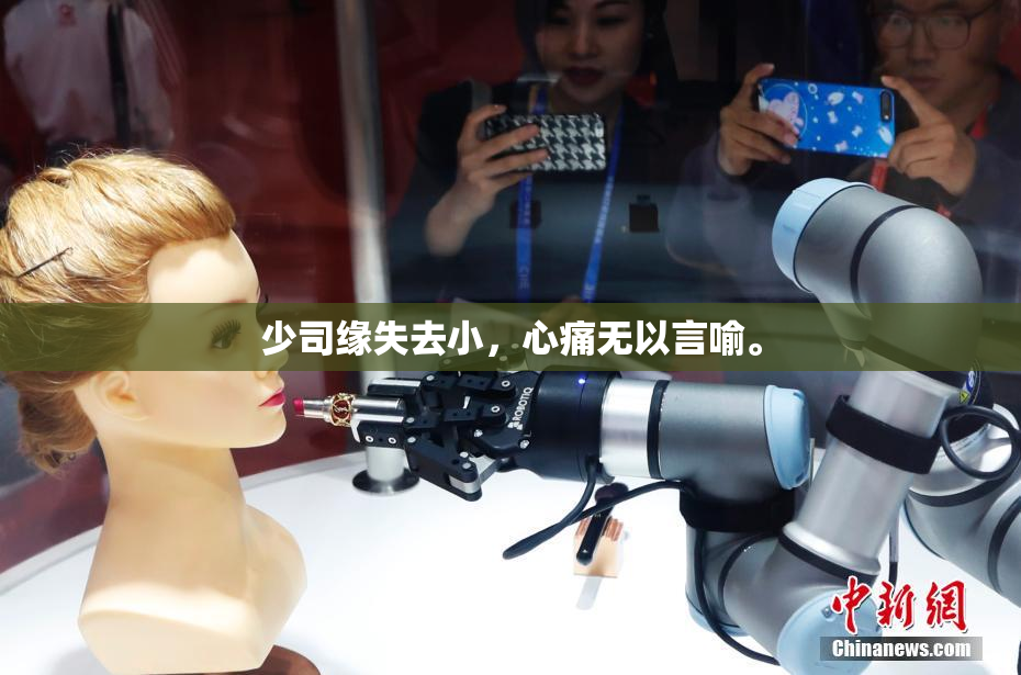 少司缘失去小，心痛无以言喻。