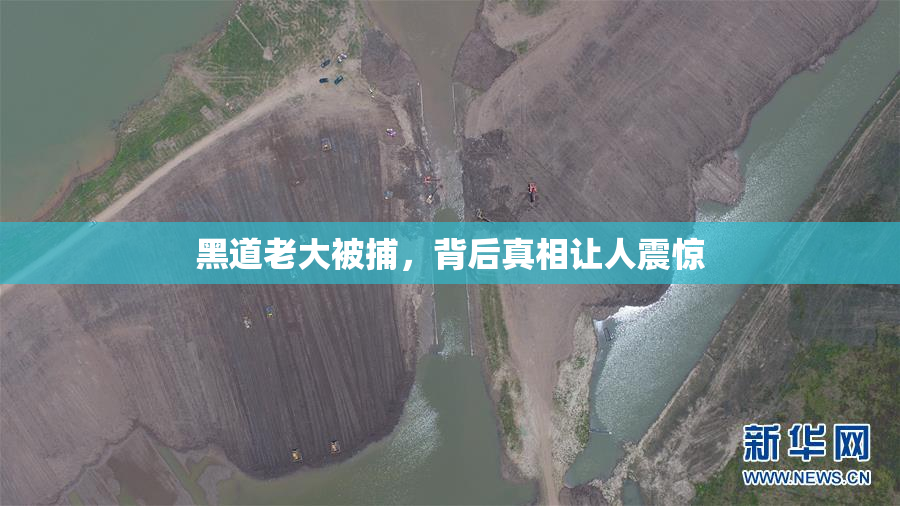 黑道老大被捕，背后真相让人震惊