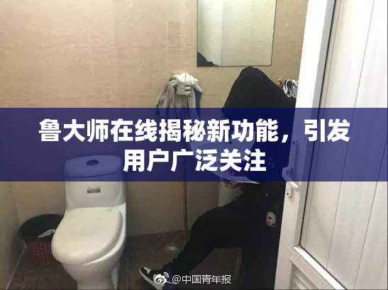 鲁大师在线揭秘新功能，引发用户广泛关注