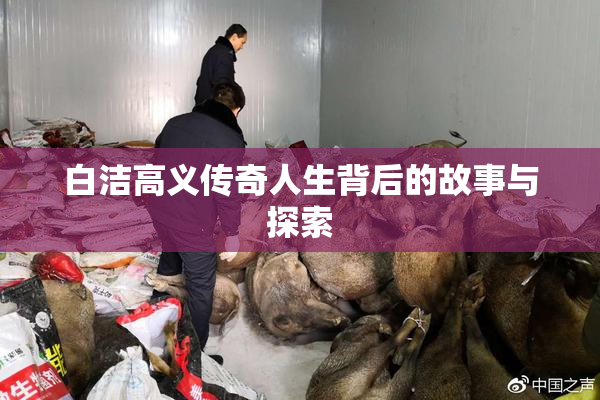白洁高义传奇人生背后的故事与探索
