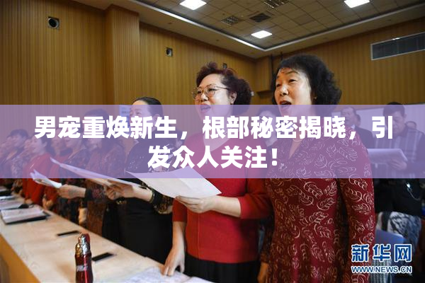 男宠重焕新生，根部秘密揭晓，引发众人关注！