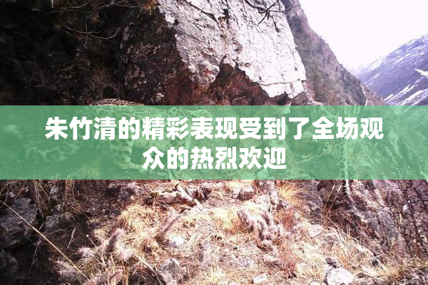 朱竹清的精彩表现受到了全场观众的热烈欢迎